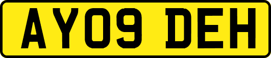 AY09DEH