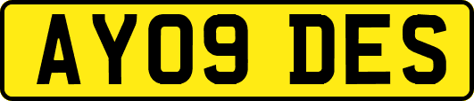 AY09DES