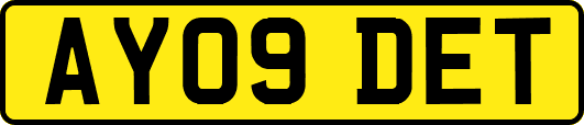 AY09DET