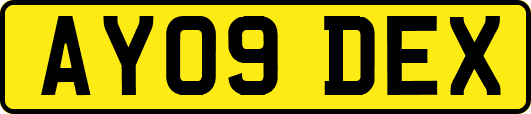 AY09DEX