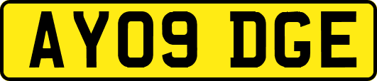 AY09DGE