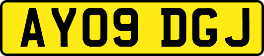 AY09DGJ