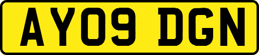 AY09DGN