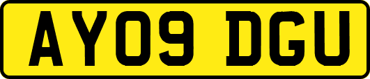 AY09DGU
