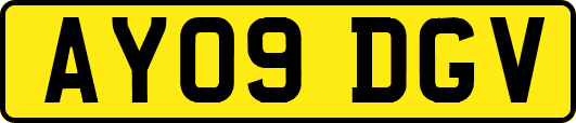 AY09DGV