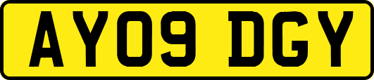 AY09DGY