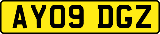 AY09DGZ