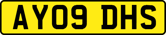 AY09DHS