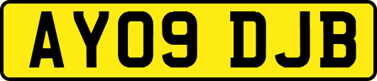 AY09DJB
