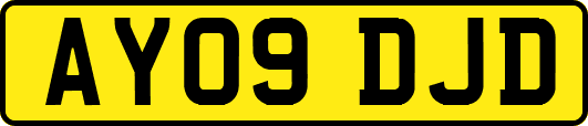 AY09DJD