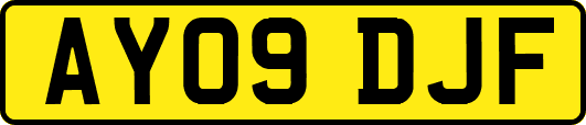 AY09DJF