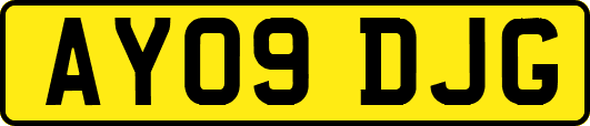 AY09DJG