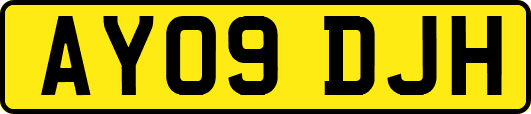 AY09DJH