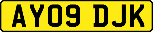 AY09DJK