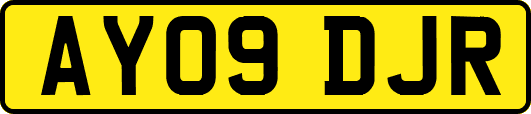 AY09DJR