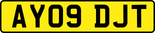 AY09DJT
