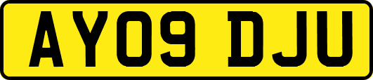AY09DJU