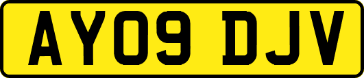 AY09DJV