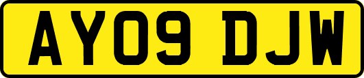 AY09DJW
