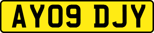 AY09DJY