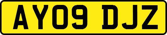 AY09DJZ