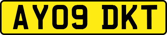 AY09DKT