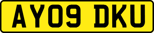 AY09DKU