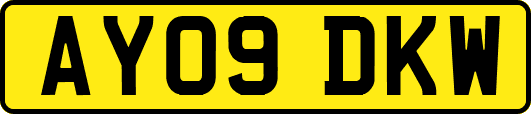 AY09DKW