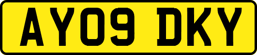 AY09DKY