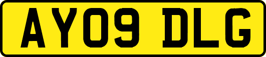 AY09DLG