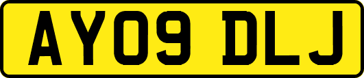 AY09DLJ