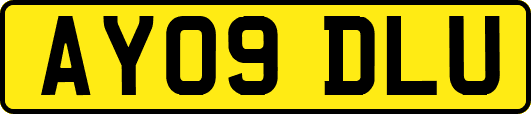 AY09DLU