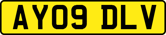 AY09DLV
