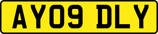 AY09DLY