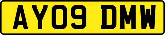 AY09DMW