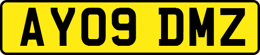 AY09DMZ