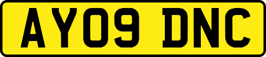 AY09DNC