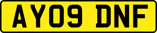 AY09DNF