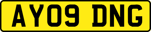 AY09DNG