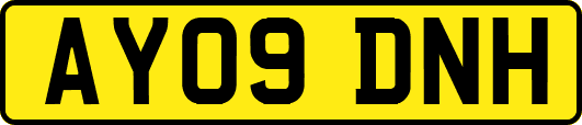 AY09DNH