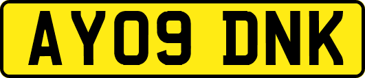 AY09DNK