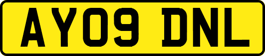 AY09DNL