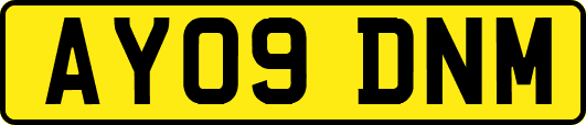 AY09DNM