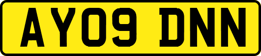 AY09DNN