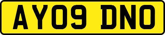 AY09DNO