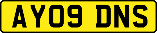 AY09DNS