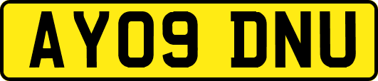 AY09DNU