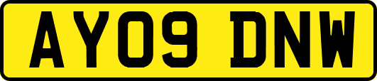 AY09DNW