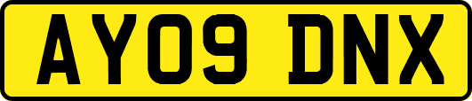 AY09DNX