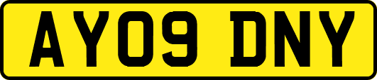 AY09DNY